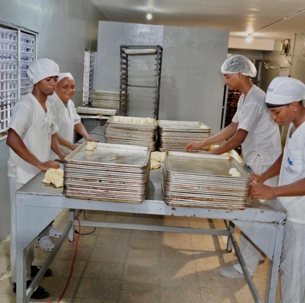 3 En Pedro Brand Durante Asistencia Tecnica