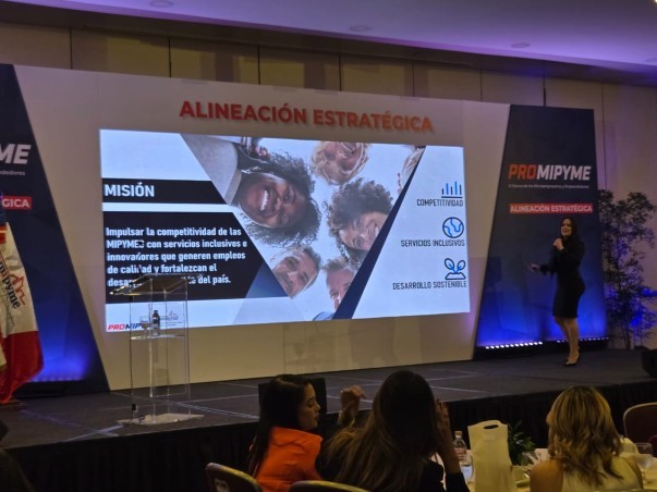 Directora Planificacion  Promipyme